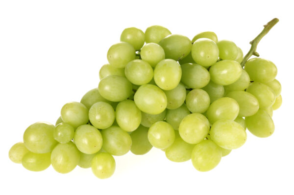 GREEN GRAPES ON WHITE_Scholten Groenten&Fruit _ witte druiven
